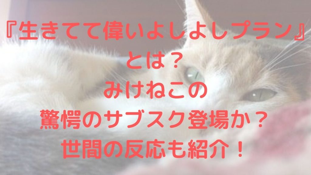 生きてて偉いよしよしプランとは？みけねこの驚愕のサブスク登場か？世間の反応も紹介！